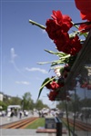 Празднование 69-й годовщины победы в Великой Отечественной войне на площади Победы. Тула, Фото: 77