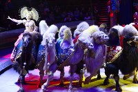 Грандиозное цирковое шоу «Песчаная сказка» впервые в Туле!, Фото: 20