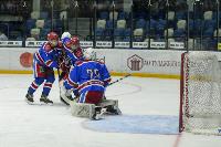 В Туле состоялось торжественное закрытие Чемпионата Тульской любительской хоккейной лиги, Фото: 35