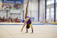 Спортивная гимнастика в Туле 3.12, Фото: 121