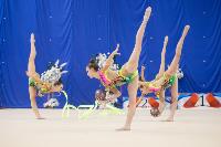 Соревнования по художественной гимнастике на призы благотворительного фонда «Земляки», Фото: 156