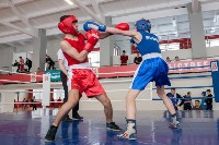 В Тульской области проходит областное первенство по боксу, Фото: 73