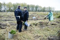 В Веневском районе высажено 24 тысячи сосен, Фото: 14