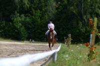 В Ясной поляне стартовал турнир по конному спорту, Фото: 45