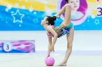 Тула провела крупный турнир по художественной гимнастике, Фото: 177