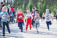 В Центральном парке прошел "Тульский марафон 2017", Фото: 275