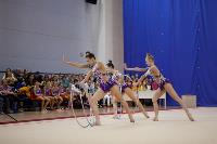 Соревнования по художественной гимнастике на призы благотворительного фонда «Земляки», Фото: 3