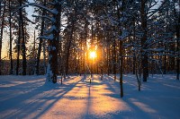 Снежное Поленово, Фото: 64