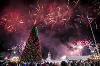 Открытие новогодней ёлки на площади Ленина, Фото: 43