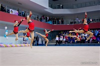 III Всебелорусский открытый турнир по эстетической гимнастике «Сильфида-2014», Фото: 10
