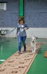 Выставка собак в Туле , Фото: 58