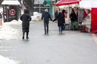 Улицы Тулы сковало льдом: фоторепортаж	, Фото: 18