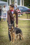 Международная выставка собак, Барсучок. 5.09.2015, Фото: 64