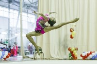 Художественная гимнастика. «Осенний вальс-2015»., Фото: 13