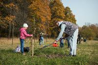 В Ясной Поляне посадили яблони, Фото: 41