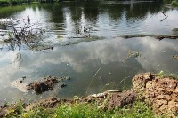 Отравленный пруд в Апасово, Фото: 7