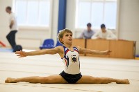 Спортивная гимнастика в Туле 3.12, Фото: 27