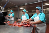 Открытие колбасного цеха в "Лазаревском", Фото: 6