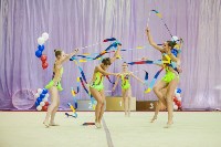 Всероссийские соревнования по художественной гимнастике на призы Посевиной, Фото: 78