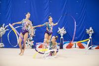 Соревнования по художественной гимнастике на призы благотворительного фонда «Земляки», Фото: 196