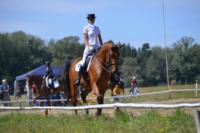 В Ясной поляне стартовал турнир по конному спорту, Фото: 70