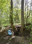 Тульские поисковики обнаружили в корнях дерева останки солдата, Фото: 6