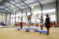Спортивная гимнастика в Туле 3.12, Фото: 62