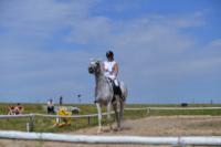 В Ясной поляне стартовал турнир по конному спорту, Фото: 33