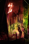 Цирк «Вива, Зорро!» в Туле , Фото: 88