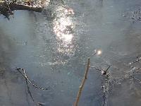 Прокуратура ищет виновника загрязнения реки Воронки нефтепродуктами, Фото: 3