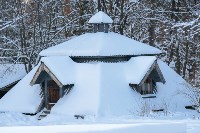 Снежное Поленово, Фото: 78