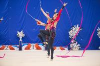 Соревнования по художественной гимнастике на призы благотворительного фонда «Земляки», Фото: 178