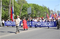 Тульская Федерация профсоюзов провела митинг и первомайское шествие. 1.05.2014, Фото: 53