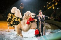 "Чудеса под Новый год" в Тульском цирке, Фото: 67