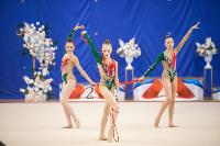 Соревнования по художественной гимнастике на призы благотворительного фонда «Земляки», Фото: 92