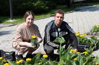 Депутаты облдумы и члены Молодежного парламента посадили цветы, Фото: 30