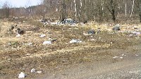 Поселок Славный в Тульской области зарастает мусором, Фото: 29