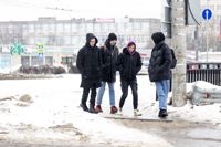 Улицы Тулы сковало льдом: фоторепортаж	, Фото: 13