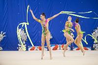 Соревнования по художественной гимнастике на призы благотворительного фонда «Земляки», Фото: 161