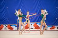 Соревнования по художественной гимнастике на призы благотворительного фонда «Земляки», Фото: 90