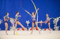 Соревнования по художественной гимнастике на призы благотворительного фонда «Земляки», Фото: 187
