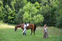 В Ясной поляне стартовал турнир по конному спорту, Фото: 28