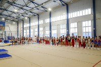 Спортивная гимнастика в Туле 3.12, Фото: 46