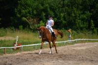 В Ясной поляне стартовал турнир по конному спорту, Фото: 139
