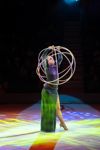 Успейте посмотреть шоу «Новогодние приключения домовенка Кузи» в Тульском цирке, Фото: 147