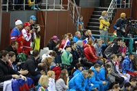 Керлинг на Олимпиаде в Сочи, Фото: 10