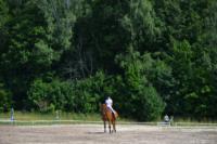 В Ясной поляне стартовал турнир по конному спорту, Фото: 110