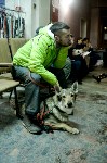 В Туле прошла Всероссийская выставка собак, Фото: 57