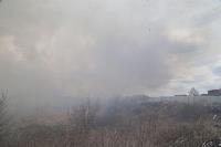 В Мясново загорелось поле, Фото: 12