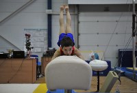 В Туле проверили ближайший резерв российской гимнастики, Фото: 16